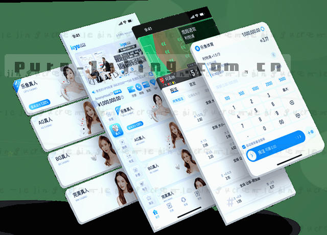 服务地图 移动端 数据中心视觉